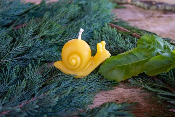 Bougie escargot